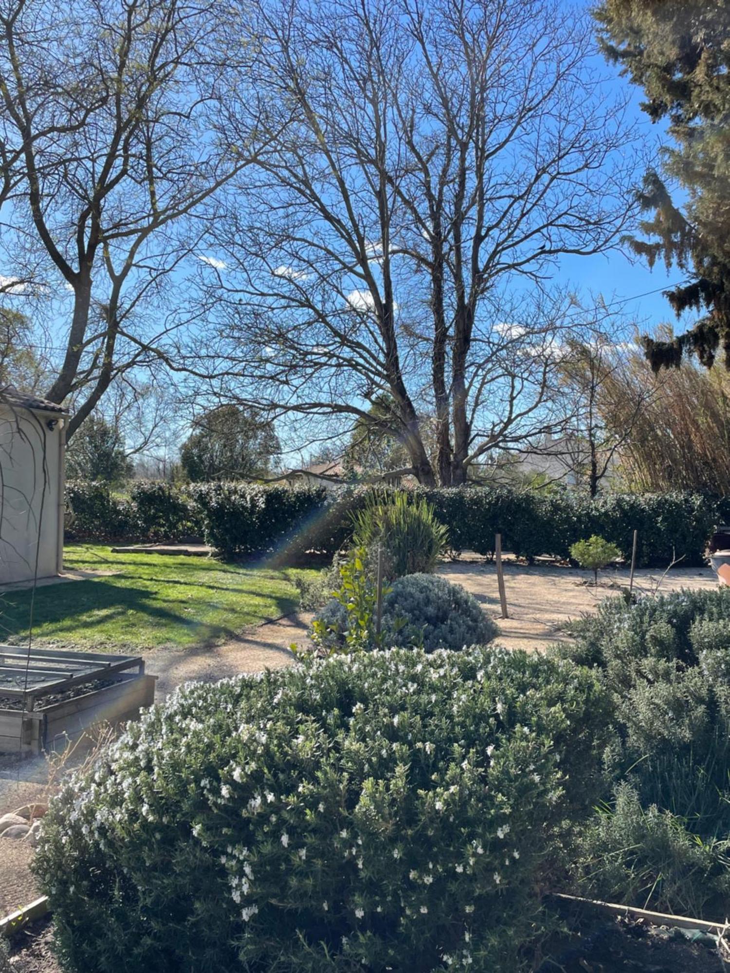 Arles Campagne Location "La Campagn'Arles" Bed & Breakfast エクステリア 写真