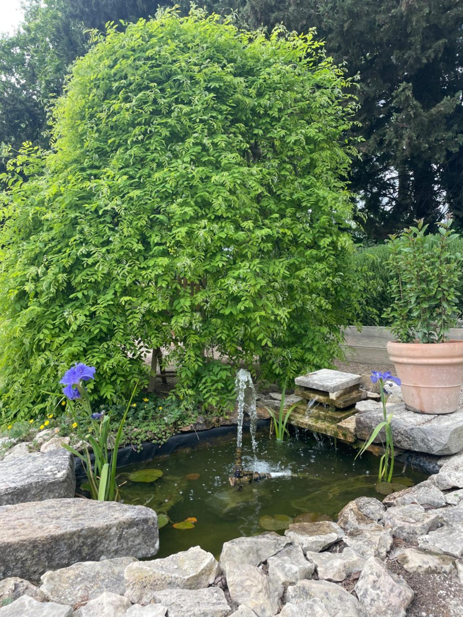 Arles Campagne Location "La Campagn'Arles" Bed & Breakfast エクステリア 写真